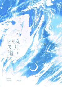 风月不知道小说完结了吗