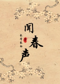 闻声声的小说集